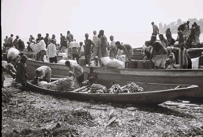 Article : Le sambaza matinal, ce poisson qui donne de l’emploi aux jeunes Congolais